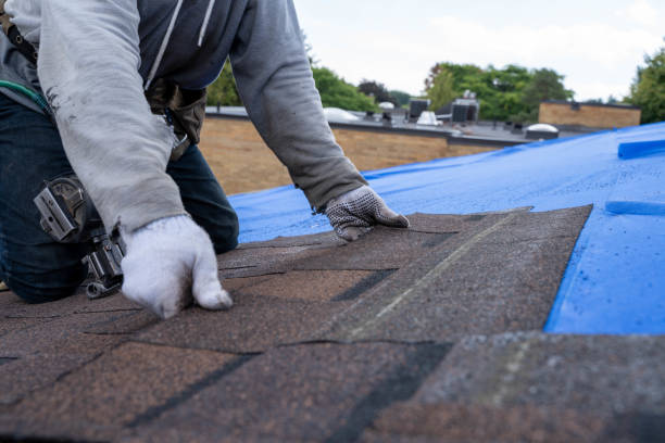 Best Roof Repair Services  in South Rosemary, NC