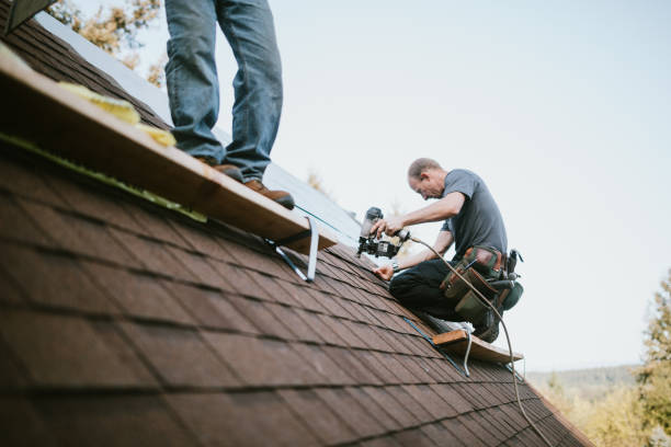Best Best Roofing Contractors  in South Rosemary, NC