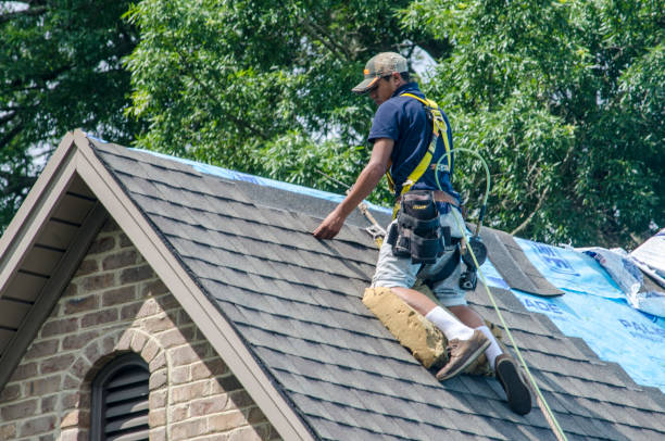 Best Gutter Installation and Roofing  in South Rosemary, NC
